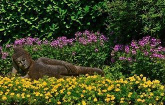 В 1988 году красивейший разросшийся сад 