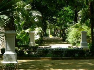 По саду проходит популярный прогулочный 