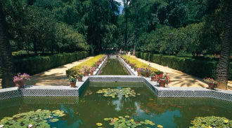 Климат в Севилье благодатный, все растет