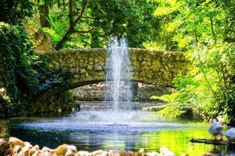 Уютные аллеи обрамляют олеандры, акации,