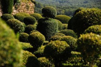 Cады Маркессака состоят из тенистых прог