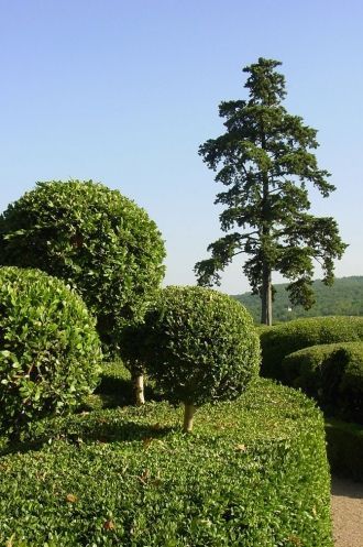 Противоположный — северный — склон, наоб