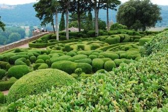 Расположенные на 22 гектарах земли, окру