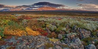 Еще одно событие, придающее Национальном