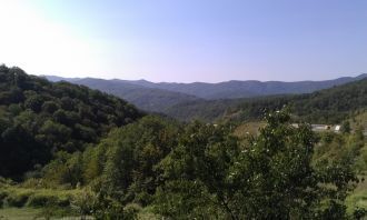 Национальный парк Тара охватывает большу