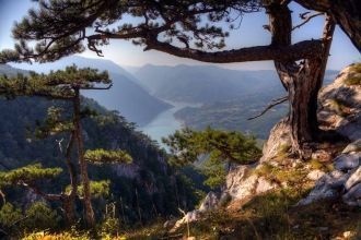 Национальный парк Тара, расположенный в 