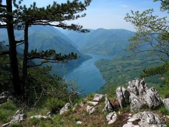 В национальном парке Тара есть несколько