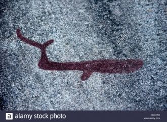 Одним из редких изображений, не смотря н