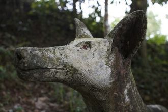 Все фигуры в Magic Garden расположены по