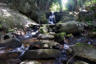 Сад находится на горе, и по пути к нему 