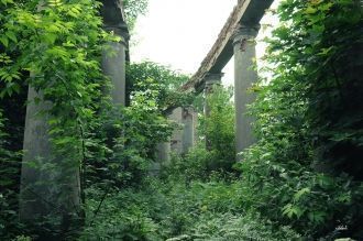 Также в усадьбе был устроен ботанический