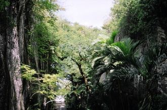 С вершины горы открывается великолепный 