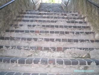 Удивительно гармоничное сочетание природ