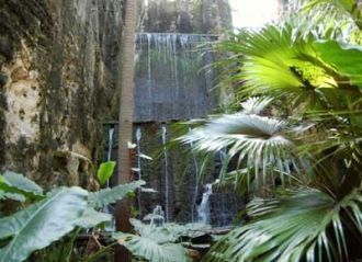 Как и в других местах на острове Нью-Про