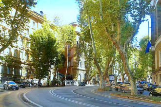 Здесь появилось множество магазинов, тор