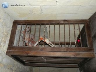 Не каждому посетителю удастся спокойно с