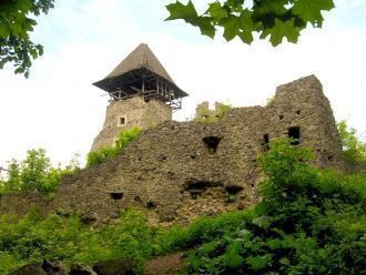 Невицкий замок