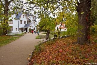 Одно из основных направлений деятельност