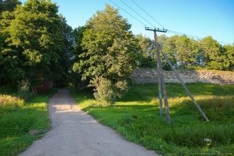 Согласно заключениям историков, планиров