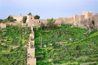 В 955 эмир Абд ар-Рахман III предоставля