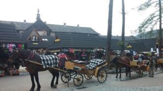 Конные повозки предлагают подвезти устав