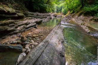 Здесь можно увидеть много редких растени