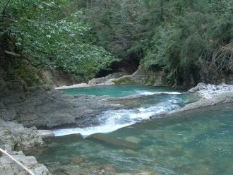 На летние каникулы приезжают сюда студен