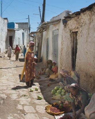 Народность харари славится развитием сво