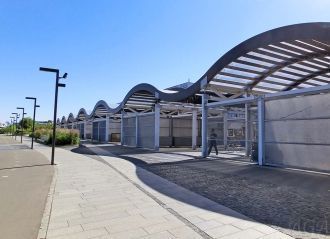 Коллекция МУЗЕОНА насчитывает более 1000