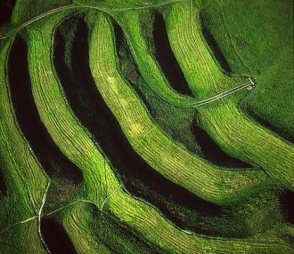 Во время раскопок использовался труд нае