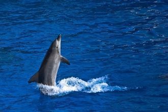 Кроме того, на второй половине парка ест