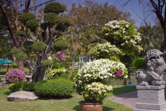 Здесь можно встретить и пожилых людей, у