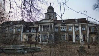 Большой урон был нанесен усадьбе в отече