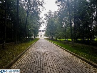 В последнее десятилетие перед революцией