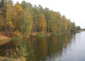 Создание комплекса довольно курьезно. АН