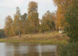 Сегодня на территории двух усадеб находи