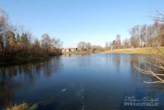 Многие специалисты совершенно оправданно