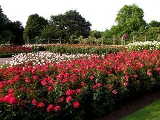 В 1836 году архитектором У.Э. Несфилдом 