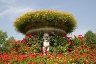 Цветочная клумба в Риджентс-парке.