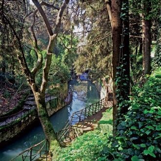 Он известен как самый первый в мире ланд