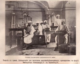 В 1894 году А. Йерсен произвел открытие 