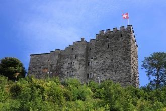 Династия разрослась и набрала силу – зам