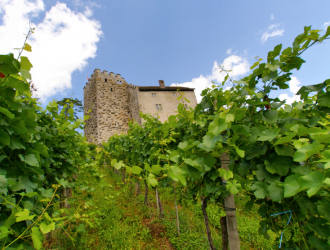 К началу 13 века строительство задней кр