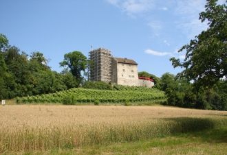 Замок Габсбург расположен на территории 