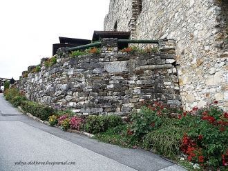 В замке устроена орнитологическая выстав