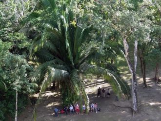 Ламанай город майя.