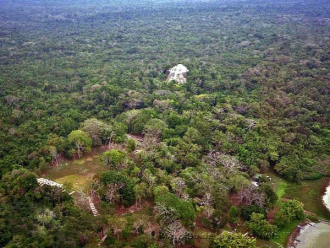 Считается, что изучено всего 5% площади 