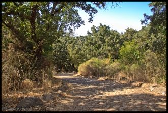 С холма видны 2 дороги: старая и новая, 