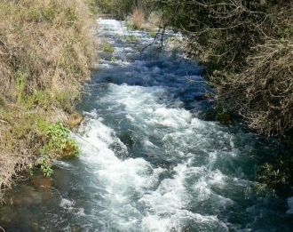 В заповеднике много мостиков над ручьями