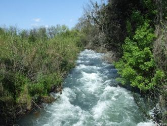 Национальный парк Тель Дан.